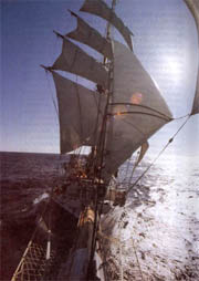 Pogoria